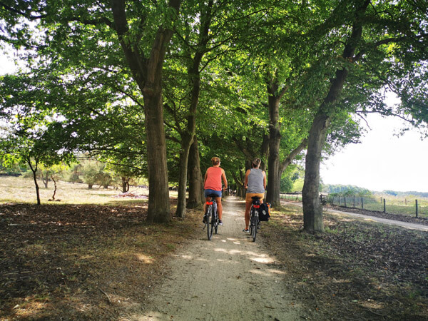 Cycling in Hoge Veluwe