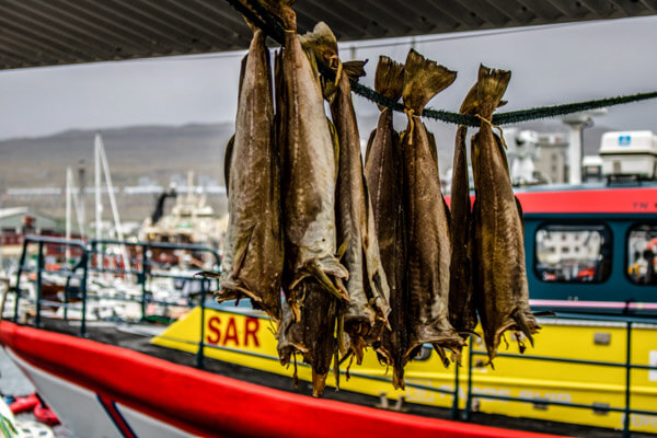 Faroe Islands Fish
