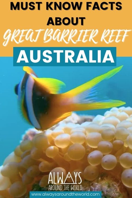 The Ultimate Great Barrier reef guide including maps, the history and everything you need to know. #australia #diving #snorkeling #greatbarrierreef