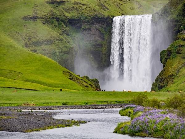 Iceland in Summer - Hikes near Reykjavik