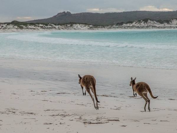 Kangaroo Island - Hiking Australia