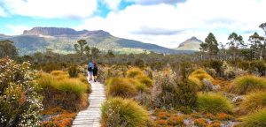 Tasmania hikes header