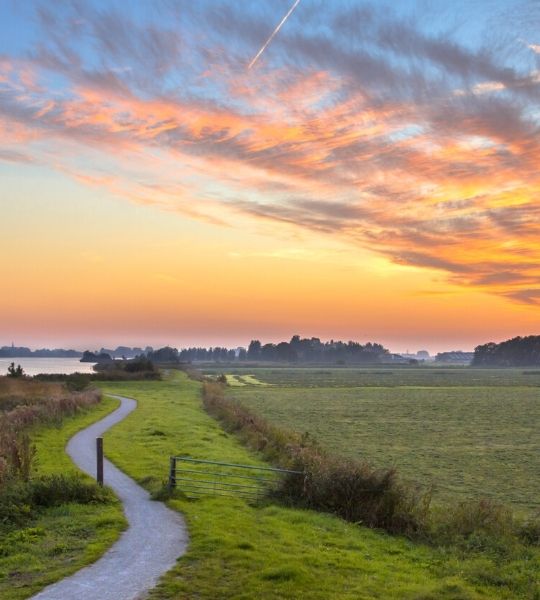 Dutch landscapes Cycling