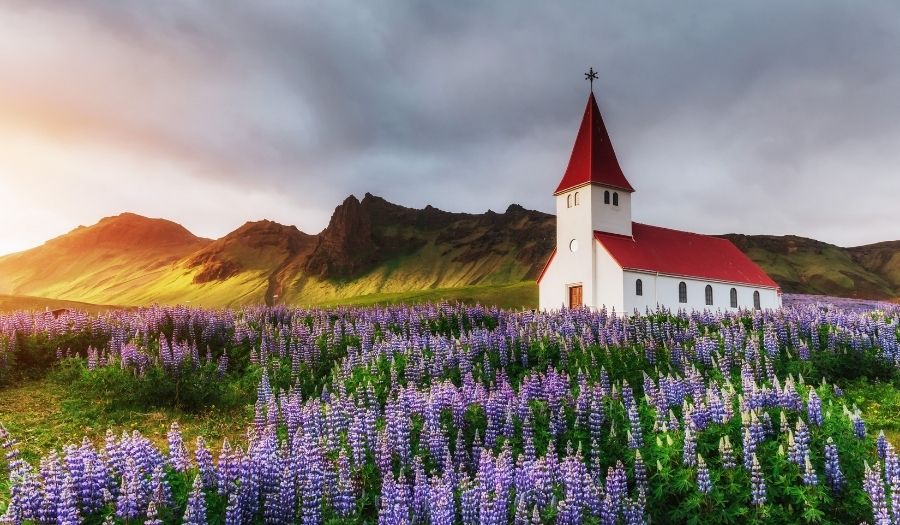 Iceland in Spring