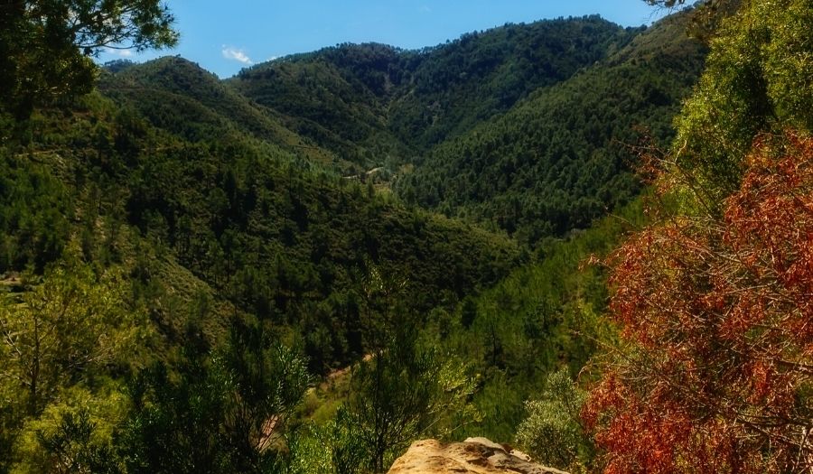 The Sierra Madrona - Spain Mountains