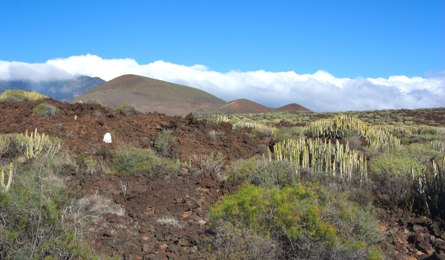 Ventanas de Güímar - Tenerife Hike
