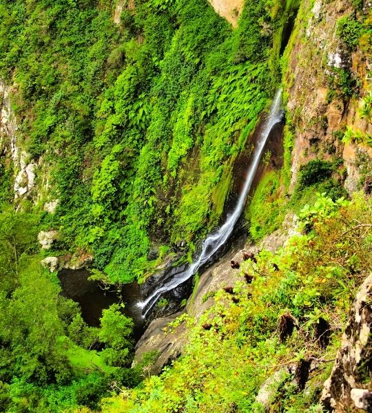 Waterfall La Gomera - Garajonay National Park