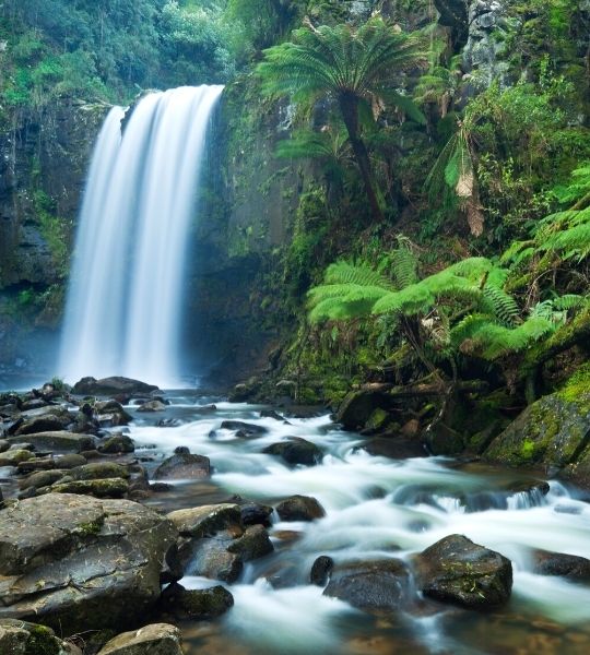 Great Ocean Road - Otway Rainforest Waterfalls