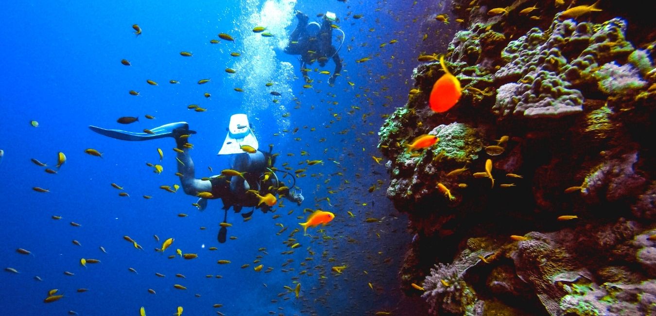 Bali Scuba Diving Snorkeling Header