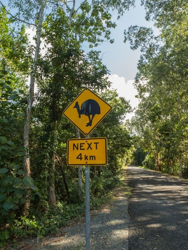 Cape Tribulation Road Sign Cassowary 