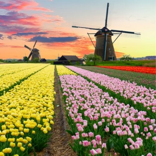 Netherlands-May