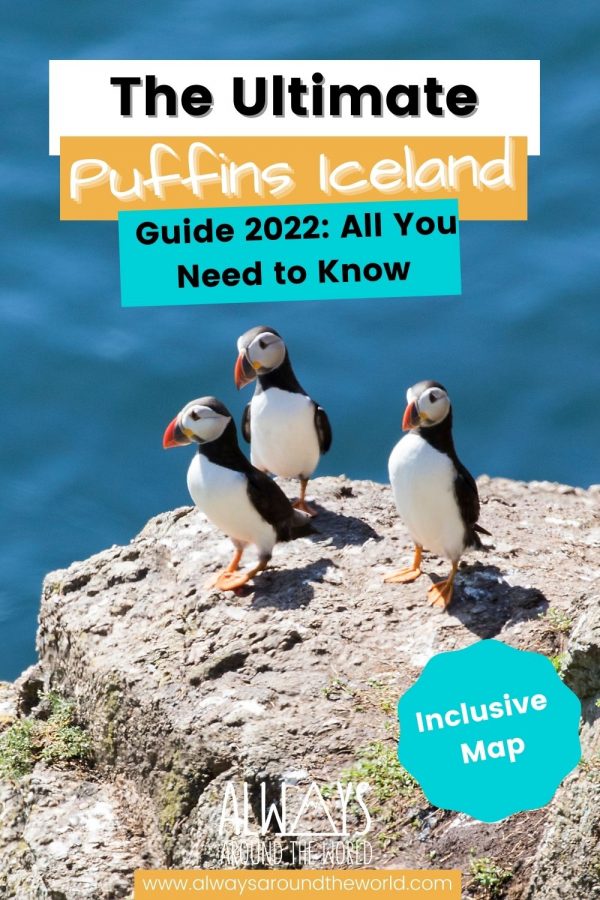 Puffins Iceland Pin